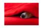 Preview: Polar fleece, 270 g/m², 150 cm, 10 m